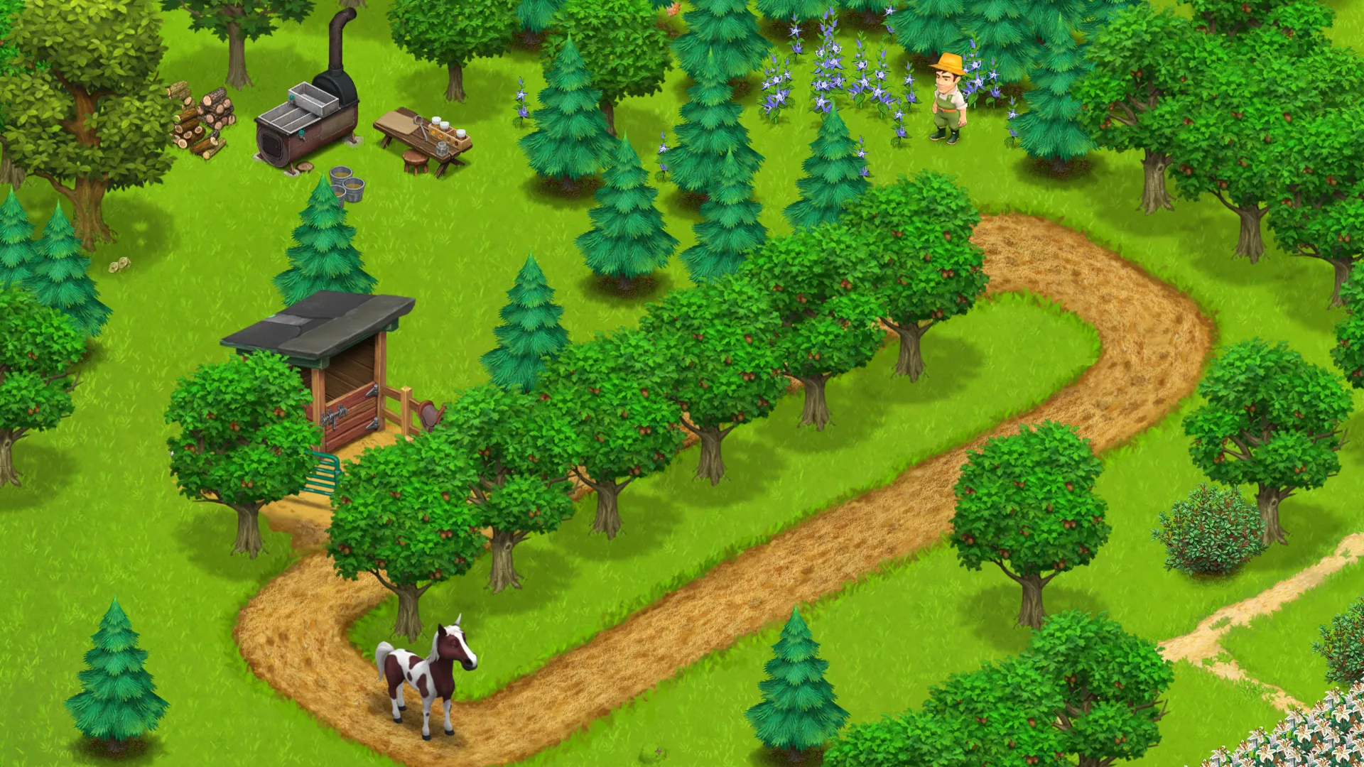 Horse racing track in the woods — Country Life Meadows