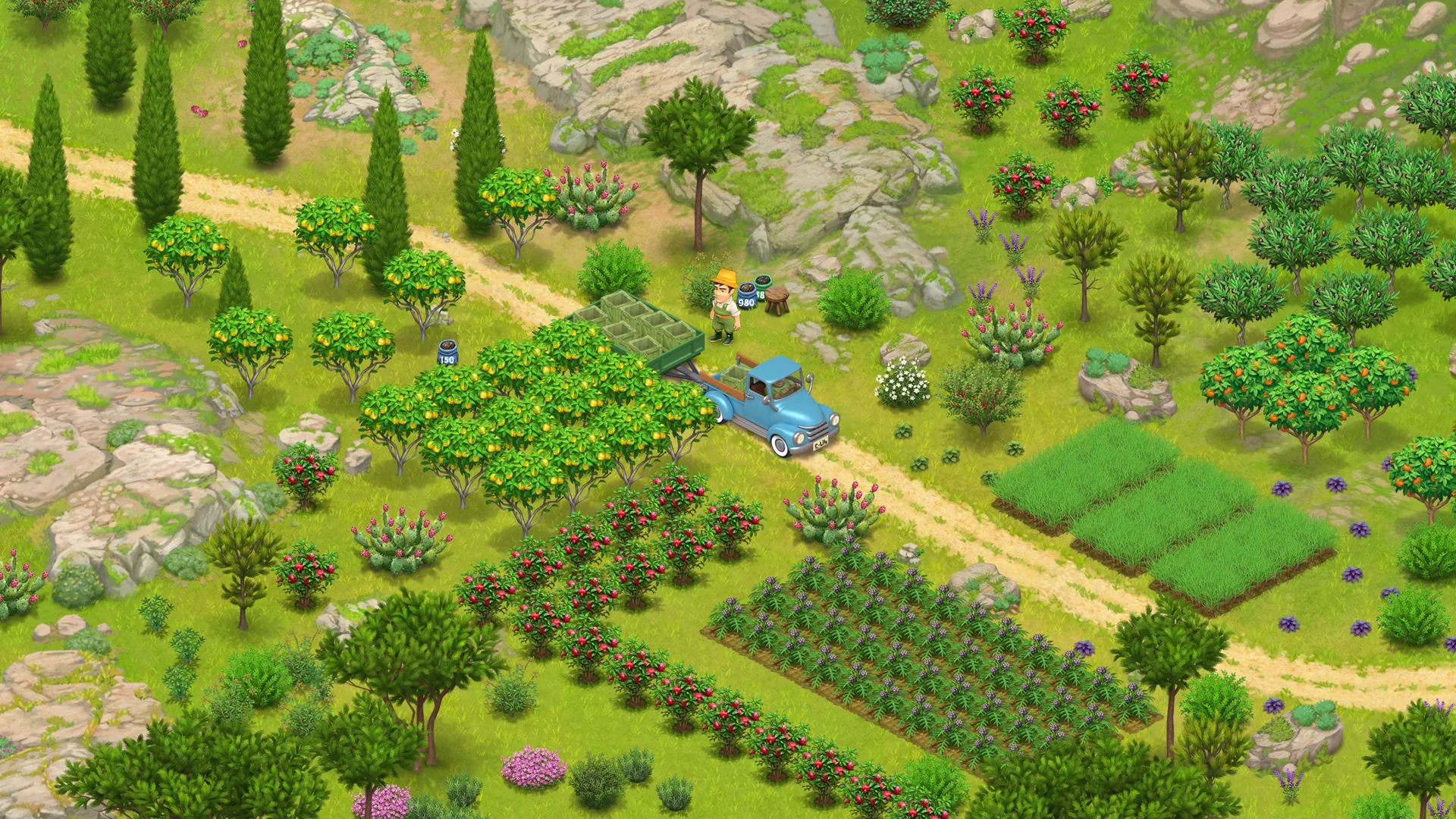 Mediterranean farm with citrus and cypress — Country Life Meadows